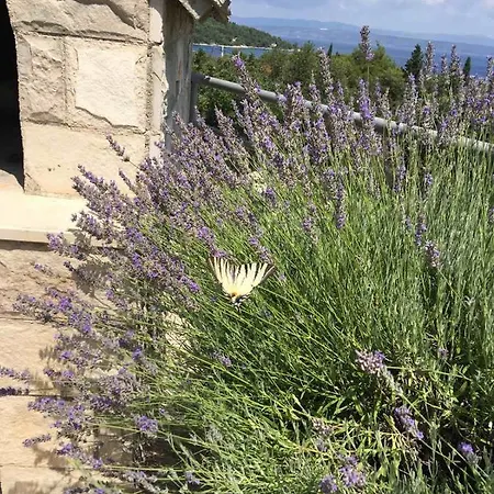 Lavanda Appartement